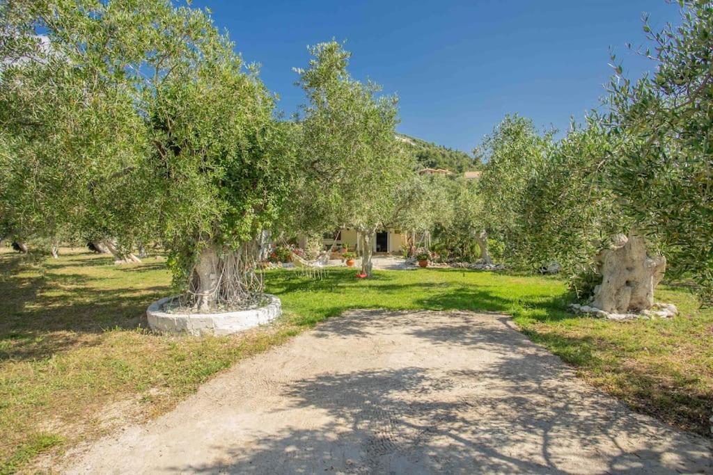 Áyios Nikítas Anthia Private Studio A Breath Away From Beaches מראה חיצוני תמונה