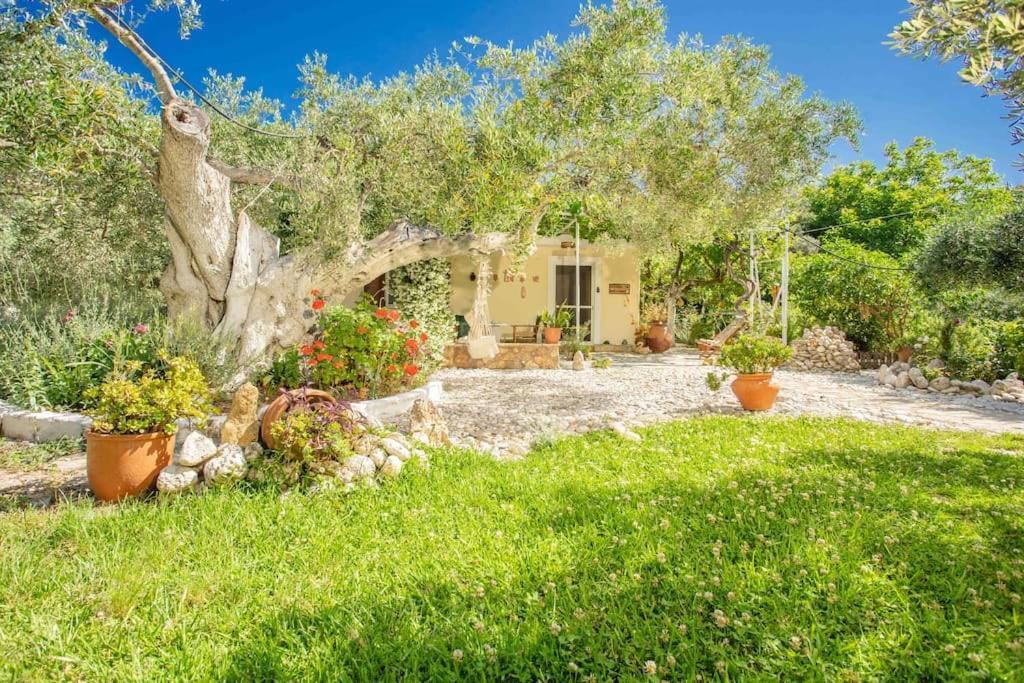 Áyios Nikítas Anthia Private Studio A Breath Away From Beaches מראה חיצוני תמונה